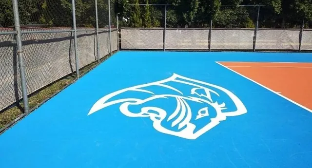 Escudo de Anáhuac Puebla pintado en la cancha por PLAYKO